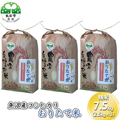 【ふるさと納税】［令和4年産　新米先行受付］魚沼産コシヒカリ おりたて米 （精米）7.5kg（2.5kg×3）　【 お米 ライス ご飯 主食 新潟県産 産地直送 1等米 】　お届け：2022年10月3日より順次出荷･･･