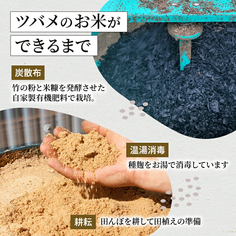 【ふるさと納税】令和7年産 ツバメの飛び交う棚田米 精米3kg お米 白米 ライス ご飯 ブランド米 銘柄米 コシヒカリ 魚沼産コシヒカリ 新潟県産 魚沼市産 　お届け：発送の目安：入金確認から2週間程度 f152251-uonumashi-10000511 新潟県魚沼市 ふるさと納税 サンプル画像3