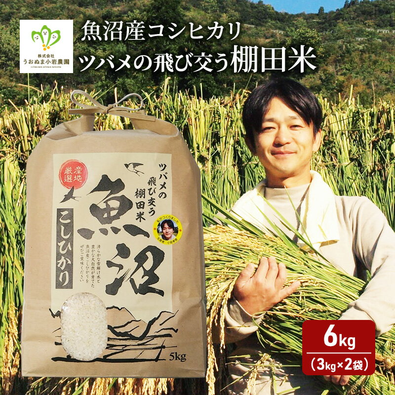 【ふるさと納税】令和7年産 ツバメの飛び交う棚田米 精米6kg（3kg×2袋） お米 白米 ライス ご飯 ブランド米 銘柄米 コシヒカリ 魚沼産コシヒカリ 旨味 新潟県産 魚沼市産 　お届け：発送の目安：入金確認から2週間程度
