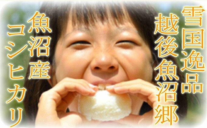 【ふるさと納税】【定期便：雪国逸品 精米2kg×6ヶ月】越後魚沼郷 魚沼産コシヒカリ お米 人 自然調和 ミネラル 奇跡 自然環境 努カ 香り つや 粘り 極上 　お届け：寄附入金確認後の翌月より発送 f152251-uonumashi-10000535 新潟県魚沼市 ふるさと納税 サンプル画像3