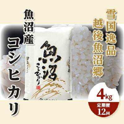 【定期便：雪国逸品 精米4kg×12ヶ月】越後魚沼郷 魚沼産コシヒカリ　【定期便・ お米 人 自然調和 ミネラル 奇跡 自然環境 努カ 香り つや 粘り 極上 】