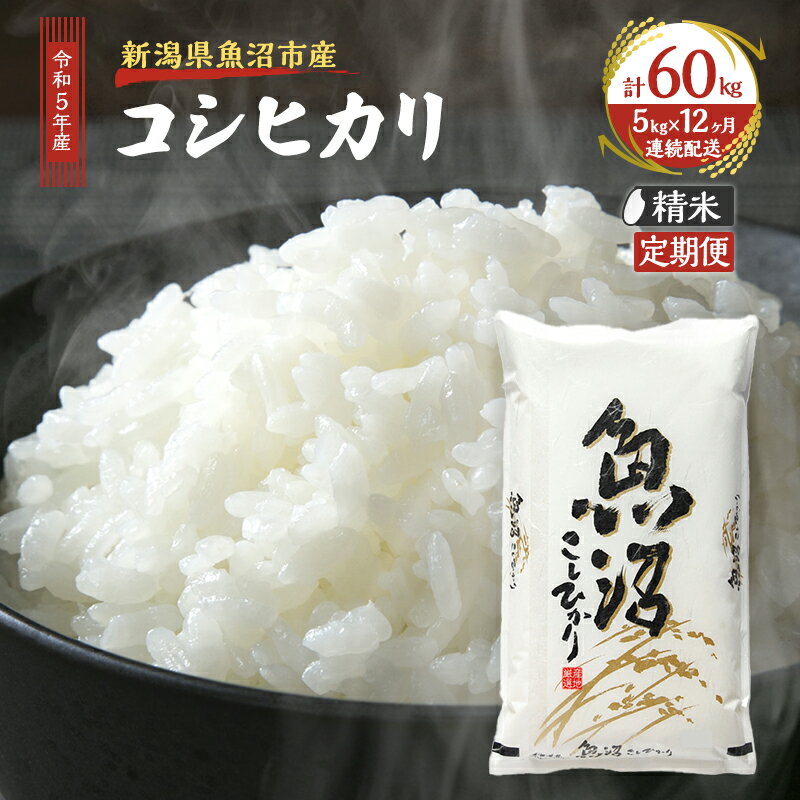 【ふるさと納税】【定期便：雪国逸品 精米5kg×12ヶ月】越