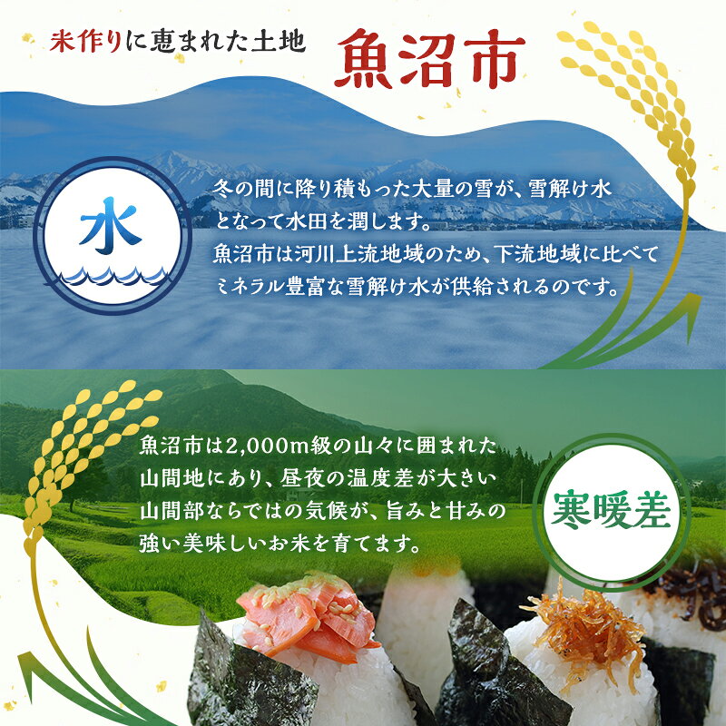 【ふるさと納税】米 定期便 12ヶ月 雪国逸品 コシヒカリ 5kg 精米 白米 お米 魚沼産コシヒカリ 新潟米 新潟 魚沼市 定期 12回　お届け：寄附入金確認後の翌月より発送 f152251-uonumashi-10000540 新潟県魚沼市 ふるさと納税 サンプル画像3