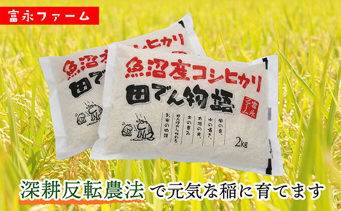 【ふるさと納税】農家の手【お米定期便/全3回】魚沼産コシヒカリ（精米）4kg（2kg×2） 白米 ご飯 ブランド米 銘柄米 精米したて 新潟県産 直送 主食 炭水化物 複数回 お届け 　お届け：寄附入金確認後の翌月より発送 f152251-uonumashi-10000554 新潟県魚沼市 ふるさと納税 サンプル画像3