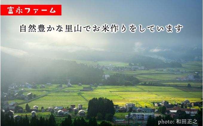 【ふるさと納税】農家の手【お米定期便/全3回】魚沼産コシヒカリ（精米）5kg 白米 ご飯 ブランド米 銘柄米 精米したて 新潟県産 直送 主食 炭水化物 複数回 お届け 　お届け：寄附入金確認後の翌月より発送 f152251-uonumashi-10000551 新潟県魚沼市 ふるさと納税 サンプル画像2