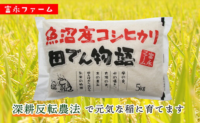【ふるさと納税】農家の手【お米定期便/全12回】魚沼産コシヒカリ（精米）5kg 白米 ご飯 ブランド米 銘柄米 精米したて 新潟県産 直送 主食 炭水化物 複数回 1年 お届け 　お届け：寄附入金確認後の翌月より発送 f152251-uonumashi-10000549 新潟県魚沼市 ふるさと納税 サンプル画像3