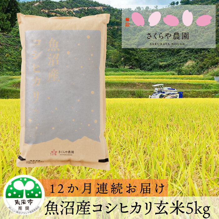 【ふるさと納税】さくらや農園　魚沼産コシヒカリ　玄米5kg　