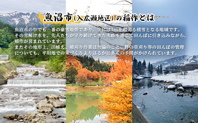 【ふるさと納税】魚沼「奥の極」入広瀬の米（うまし故郷 入広瀬）精米 2.9kg　お届け：寄附入金確認後、約2週間～1ヶ月ほどでお届け f152251-uonumashi-10000596 新潟県魚沼市 ふるさと納税 サンプル画像3
