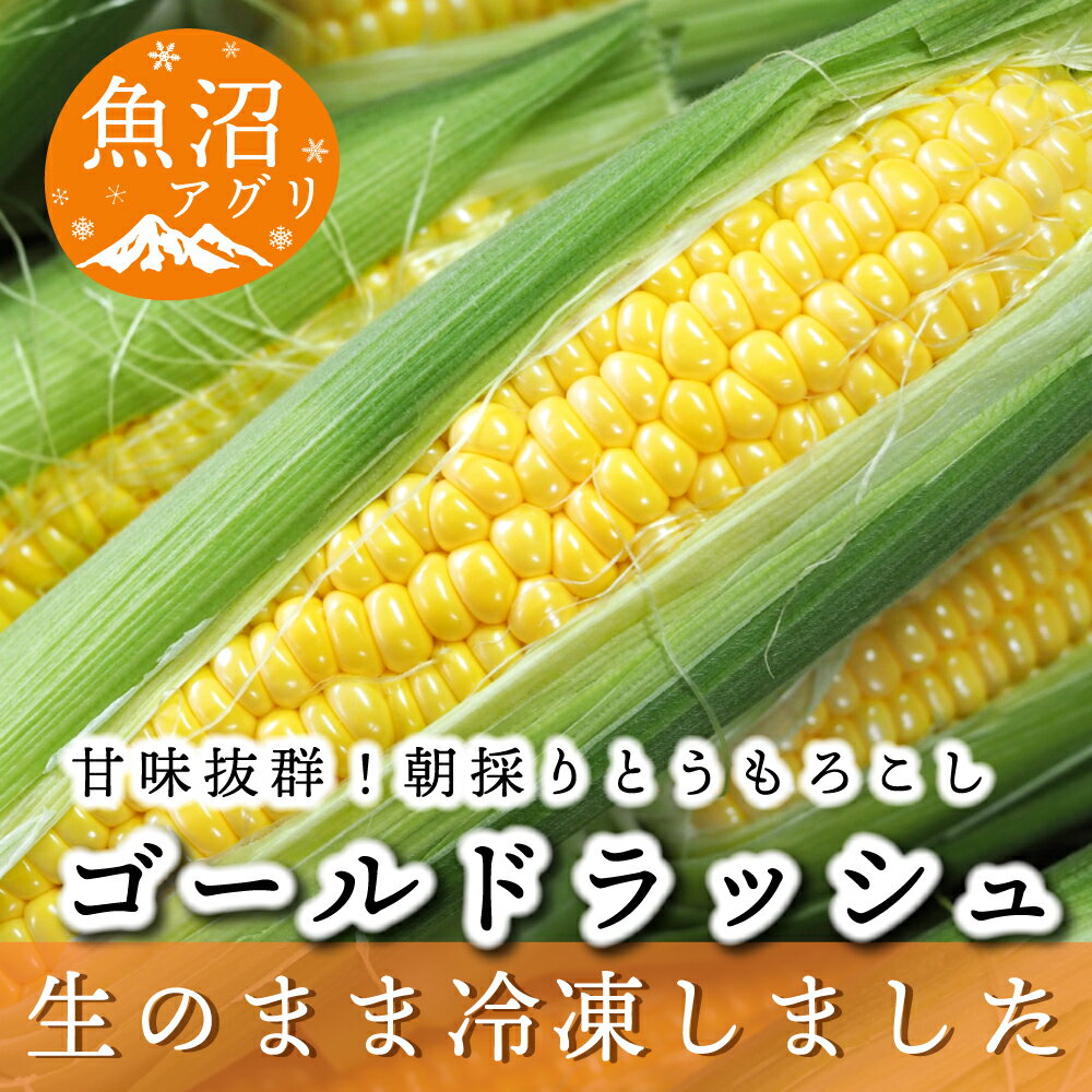 魚沼産 冷凍生とうもろこしと冷凍粒とうもろこしのセット　【 野菜 国産 日本産 簡単 便利 コーン 冷凍コーン ゴールドラッシュ 新潟県産 食材 食べ物 直送 産地直送 】