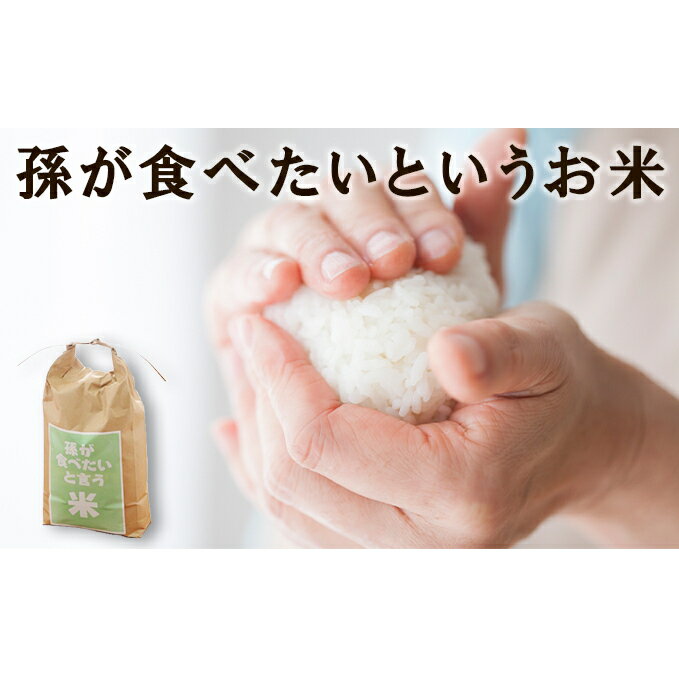 [令和5年産]孫が食べたいと言う米(精米)5kg [ お米 白米 ブランド米 ご飯 おにぎり お弁当 和食 主食 直送 産地直送 コシヒカリ 魚沼産コシヒカリ 食べ物 ]