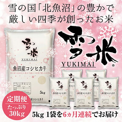 【ふるさと納税】『定期便』魚沼産コシヒカリ精米『雪米YUKIMAI(登録商標)』5kg雪の国から～ 全6回 お米 白米 ブランド米 銘柄米 ご飯 おにぎり お弁当 和食 主食 国産 炭水化物 産地直送 　お届け：寄附入金確認後の翌月より発送