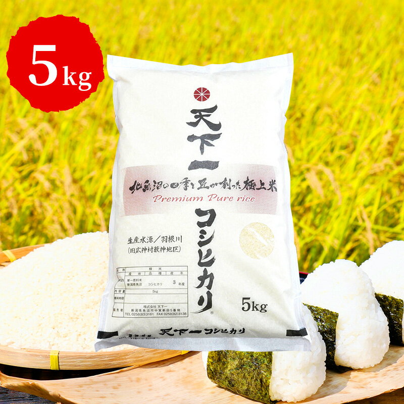 34位! 口コミ数「0件」評価「0」令和5年産【「天下一コシヒカリ（商標）」魚沼産5kg】本当に旨い飯におかずはいらない　【 お米 ブランド米 おにぎり お弁当 魚沼産コシヒカ･･･ 