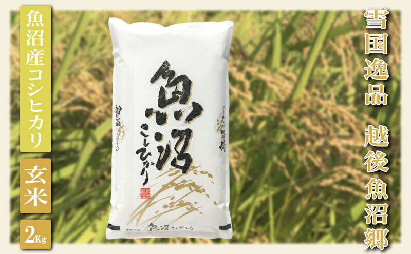 【ふるさと納税】令和5年産【雪国逸品 玄米2Kg】越後魚沼郷 魚沼産コシヒカリ　【 お米 ブランド米 銘柄米 ご飯 おにぎり お弁当 和食 産地直送 香り つや 粘り 】