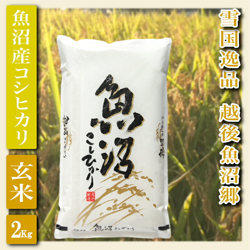 【ふるさと納税】令和5年産【雪国逸品 玄米2Kg】越後魚沼郷