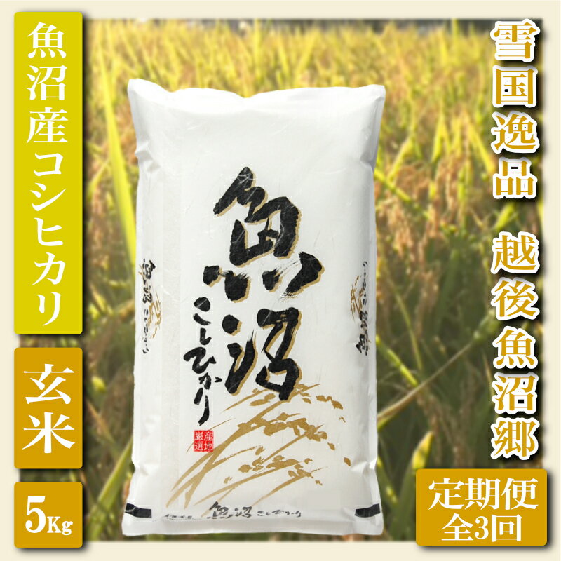 【ふるさと納税】【定期便：雪国逸品 玄米5Kg×3ヶ月】越後