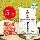 名称精米内容量単一原料米　魚沼産コシヒカリ　精米:5kg×1袋(原産地:新潟県魚沼市)　10ヶ月連続でお届け産地魚沼産品種／産年／使用割合コシヒカリ/別途記載/単一原料米精米時期別途記載販売者株式会社 天下一 新潟県魚沼市事業者株式会社天下一配送方法常温配送備考※画像はイメージです。※雪室及び雪中貯蔵等のお米ではありません。※寄附金のご入金確認の翌月以降、初回発送から10ヶ月連続でお届けします。※常温配送でのお届けとなります。※到着後1ヶ月以内の消費をお勧めします。※直射日光を避け、風通しがよい冷暗所で保管ください。※画像はイメージです。 ・ふるさと納税よくある質問はこちら ・寄附申込みのキャンセル、返礼品の変更・返品はできません。あらかじめご了承ください。【ふるさと納税】『定期便』【魚沼産】天下一コシヒカリ　精米 5kg 全10回　【定期便・ お米 白米 精米 ご飯 ブランド米 銘柄米 食卓 主食 おにぎり お弁当 和食 】 お米専門店が自信を持ってお届けする魚沼産【天下一コシヒカリ（登録商標）】です。●天下一コシヒカリとは羽根川を水源とした、新潟県の旧北魚沼郡広神村薮神地区でほんのわずかな匠（専業一筋）が創ったお米だけが名乗れる称号（登録商標）です。●羽根川の水がなぜ美味しいお米を創りだすのかそれは源流が、日本屈指の豪雪地帯のさらに奥（福島県境の近く鼓ヶ倉山）にあるため、夏まで豊富なミネラルを含んだ雪解け水をお米に（稲）に届けるからです。●天下一コシヒカリご愛顧経歴平成27年5月15日に商標登録。その後ひたむきな営業により、東京都内の料亭様、高級鮨店様、世界的IT企業日本本社様や、全国各地の個人様などからご愛顧頂いております。せっかくの機会です。北魚沼の豊かで厳しい四季の中で、匠がこだわりぬいて創った【魚沼産100％「天下一コシヒカリ」】を是非ご賞味ください。 寄附金の用途について 1．かがやく自然応援隊 2．かがやく子ども応援隊 3．かがやく高齢者応援隊 4．かがやく文化応援隊 5．かがやく魚沼応援隊 受領証明書及びワンストップ特例申請書のお届けについて 入金確認後、注文内容確認画面の【注文者情報】に記載の住所にお送りいたします。 発送の時期は、入金確認後1～2週間程度を目途に、お礼の特産品とは別にお送りいたします。 ■　ワンストップ特例について ワンストップ特例をご利用される場合、1月10日までに申請書が当市まで届くように発送ください。 寄附の申込み時にワンストップ特例申請書を希望された方には、申請書を受領証明書に同封してお送りしますが、お急ぎの場合は寄附者様にて申請書をご用意ください。 ダウンロードされる場合は以下よりお願いいたします。 URL：https://event.rakuten.co.jp/furusato/guide/onestop/ 期限を過ぎての提出や添付書類（本人確認資料＋個人番号確認資料）が不足している場合は受付ができませんので十分ご注意願います。 ※マイナンバーカードをお持ちの方は「自治体マイページ」からオンラインで申請することが可能です。（利用者登録が必要です。）自治体マイページは以下からアクセスすることができます。 URL：https://link.rakuten.co.jp/0/113/012/