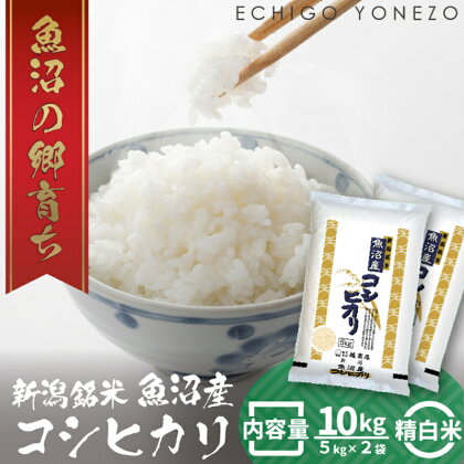 令和5年産 魚沼産コシヒカリ（精米）10kg　【 お米 白米 ご飯 ブランド米 銘柄米 ご飯 おにぎり お弁当 和食 産地直送 粘り モチっと食感 上品な甘み 】