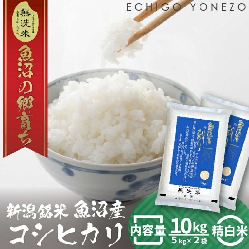 令和5年産 魚沼産コシヒカリ（無洗米）10kg　【 お米 白米 ご飯 ブランド米 銘柄米 ご飯 おにぎり お弁当 和食 産地直送 粘り モチっと食感 上品な甘み 】