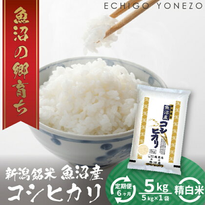 【定期便】魚沼産コシヒカリ（精米）5kg ×6ヶ月　【定期便・ お米 白米 ご飯 ブランド米 銘柄米 ご飯 おにぎり お弁当 和食 産地直送 粘り モチっと食感 上品な甘み 】