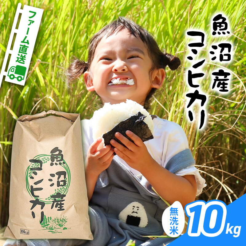【ふるさと納税】ファーム直送 魚沼産コシヒカリ 無洗米10kg 　お届け：寄附入金確認後、約2週間～1ヶ月ほどでお届けとなりますのサムネイル