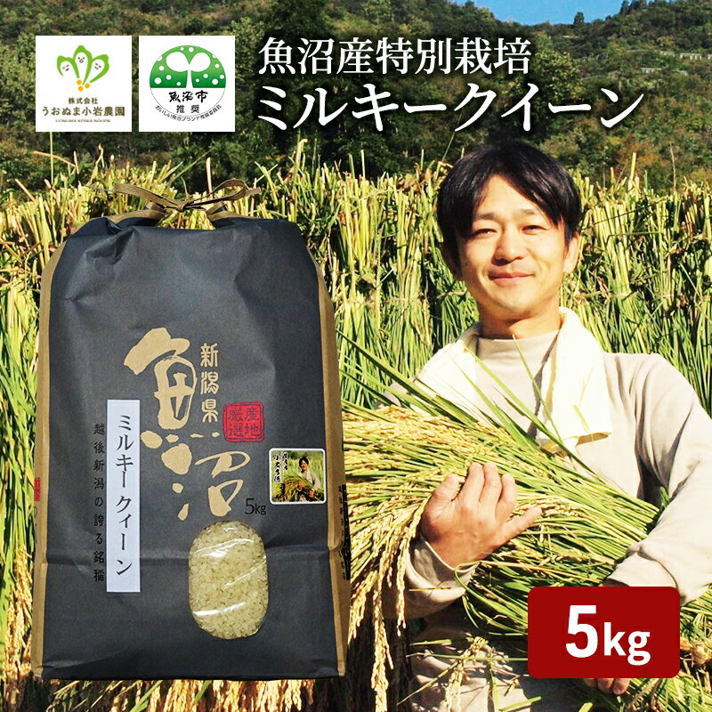 【ふるさと納税】【令和6年産　新米先行受付】【令和6年産】魚沼産ミルキークィーン　精米5kg 米 こめ お米 コメ ミルキー クイーン 新潟県 魚沼市 魚沼　お届け：2024年10月1日より順次発送致します。のサムネイル