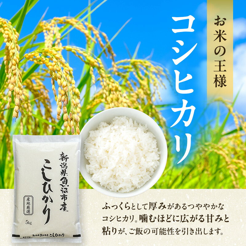 【ふるさと納税】【令和8年産 新米先行受付】農産物検査員お奨め 魚沼産こしひかり（精米）15kg（5kg×3）米 コメ こめ お米 おこめ 白米 コシヒカリ 新潟県産 人気 お取り寄せ　お届け：2026年10月中旬より順次発送致します。 f152251-uonumashi-10000736 新潟県魚沼市 ふるさと納税 サンプル画像3