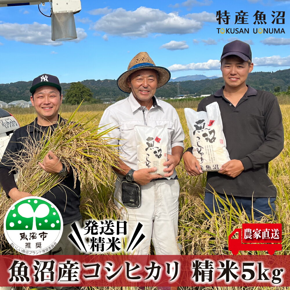 【ふるさと納税】【令和6年産　新米先行受付】令和6年産 農家直送！ 魚沼産 コシヒカリ 精米 5kg （ 米 こしひかり お米 こめ コメ 魚沼産コシヒカリ 魚沼 新潟 魚沼産こしひかり おこめ 白米 ）　お届け：2024年9月20日より順次発送致します。のサムネイル