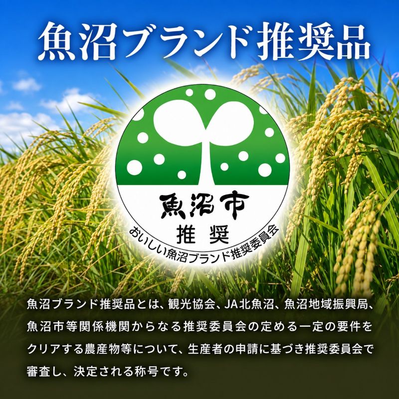 【ふるさと納税】【令和8年産 先行予約】農家直送！ 魚沼産 コシヒカリ 精米 5kg （ 米 こしひかり お米 こめ コメ 魚沼産コシヒカリ 魚沼 新潟 魚沼産こしひかり おこめ 白米 ）　お届け：9月20日より順次発送致します。 f152251-uonumashi-10000678 新潟県魚沼市 ふるさと納税 サンプル画像2
