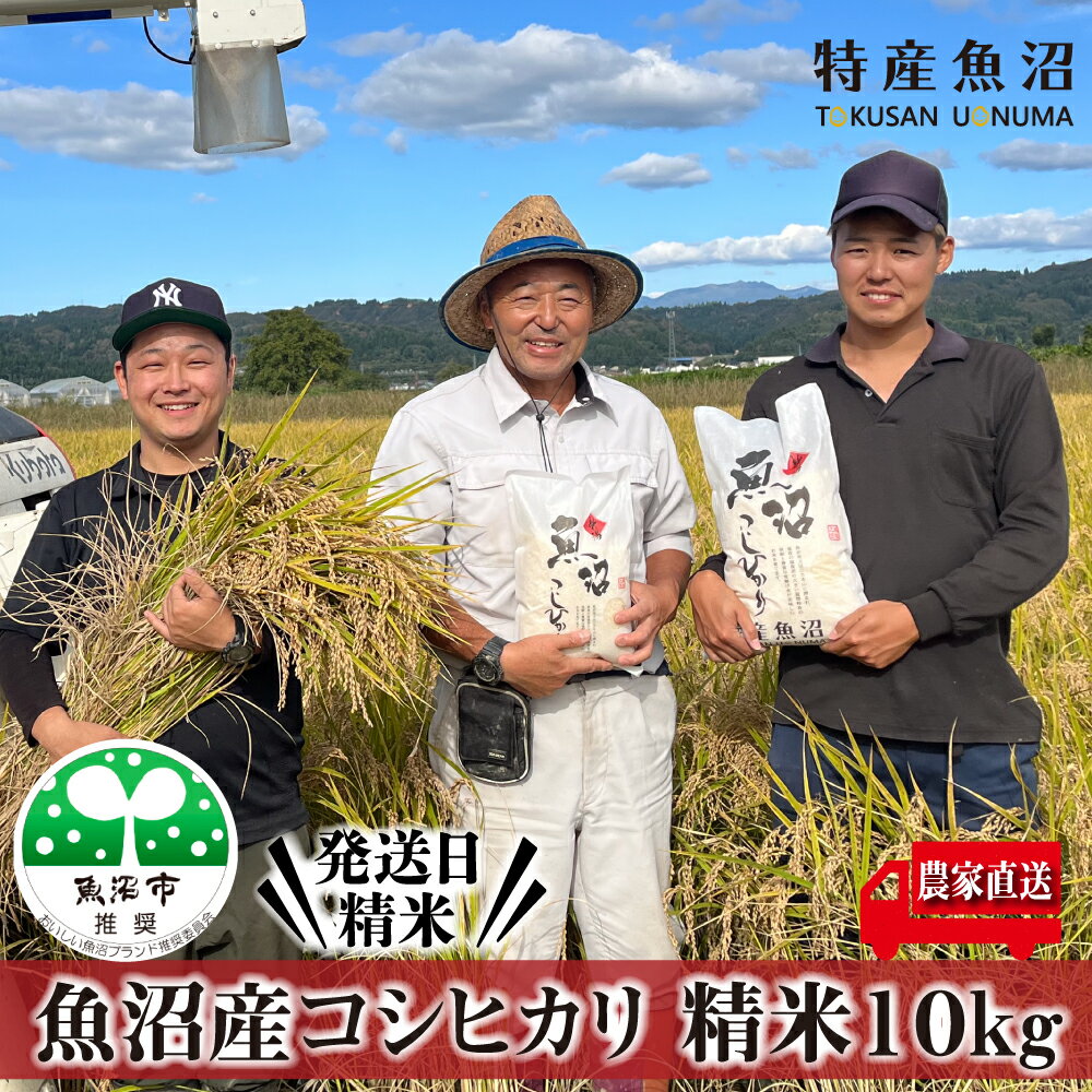 [令和6年産 新米先行受付]令和6年産 農家直送! 魚沼産 コシヒカリ 精米 10kg ( 5kg × 2 )( 米 こしひかり お米 こめ コメ おこめ 白米 魚沼 魚沼産コシヒカリ 魚沼産こしひかり 新潟 ) お届け:2024年9月20日より順次発送致します。