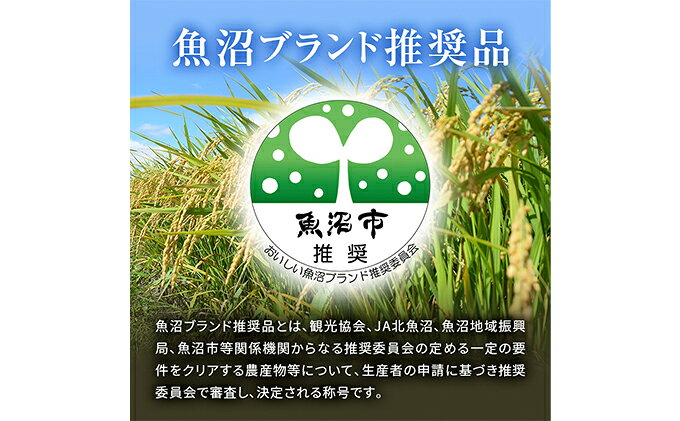 【ふるさと納税】【令和8年産　新米先行受付】農家直送！ 魚沼産 コシヒカリ 無洗米 4kg (スタンドパック 2kg × 2個 )（ 米 こしひかり お米 こめ コメ 魚沼産コシヒカリ 魚沼 新潟 おこめ 白米 精米 ）　お届け：9月20日より順次発送致します。