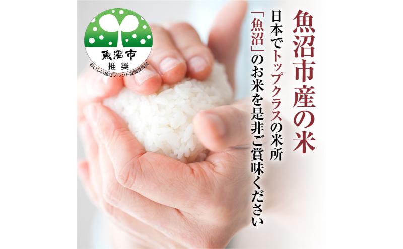 【ふるさと納税】【令和8年産　新米先行受付】米農家自慢の 魚沼産 コシヒカリ（精米）10kg（5kg×2袋）白米 お米 こめ コメ 魚沼産コシヒカリ こしひかり 魚沼　お届け：2026年10月より順次出荷 f152251-uonumashi-10000684 新潟県魚沼市 ふるさと納税 サンプル画像2