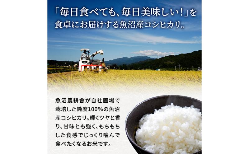【ふるさと納税】【令和8年産　新米先行受付】米農家自慢の 魚沼産 コシヒカリ（精米）10kg（5kg×2袋）白米 お米 こめ コメ 魚沼産コシヒカリ こしひかり 魚沼　お届け：2026年10月より順次出荷 f152251-uonumashi-10000684 新潟県魚沼市 ふるさと納税 サンプル画像3