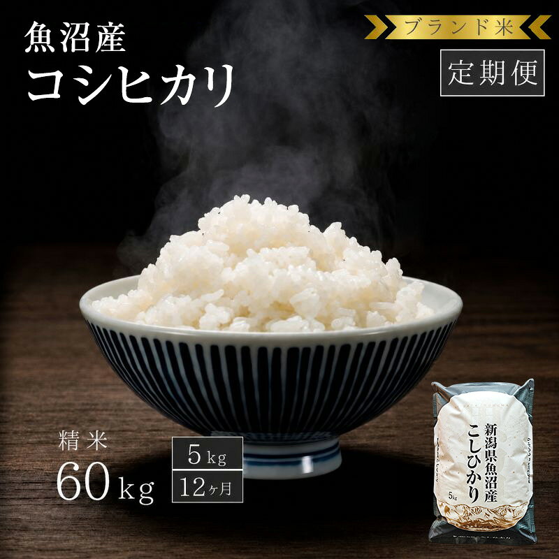 【定期便：精米5kg×12ヶ月】ブランド米 魚沼産コシヒカリ 米 コメ こめ お米 おこめ 白米 こしひかり 新潟県産 人気 お取り寄せ お届け：寄附入金確認後の翌月より発送