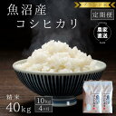 【ふるさと納税】【定期便:精米10kg×4ヶ月】ブランド米 魚沼産コシヒカリ 米 こしひかり 新潟 定期 お届け:寄附入金月の翌月より発送