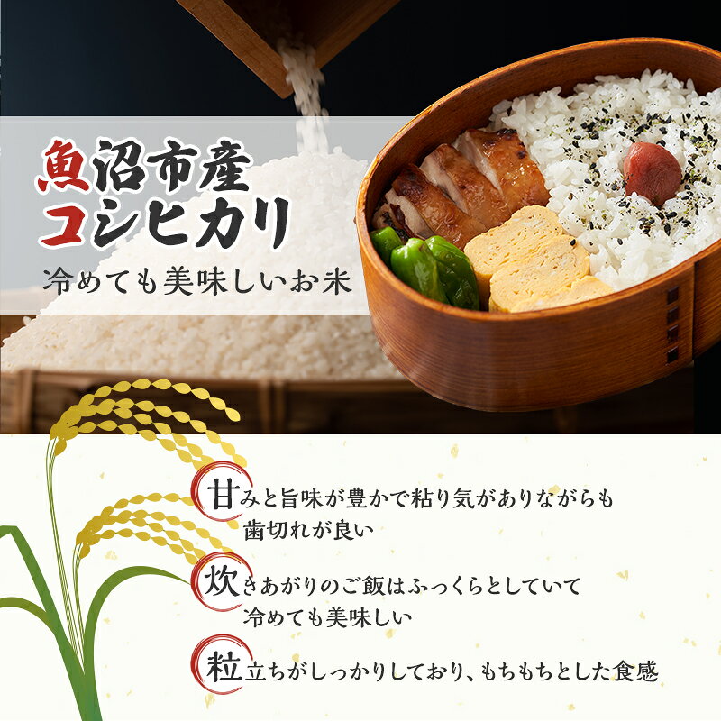 【ふるさと納税】無洗米 定期便 6ヶ月 雪国逸品 コシヒカリ 2kg 米 白米 お米 魚沼産コシヒカリ 新潟米 新潟 魚沼市 定期 6回　お届け：寄附入金確認後の翌月より発送