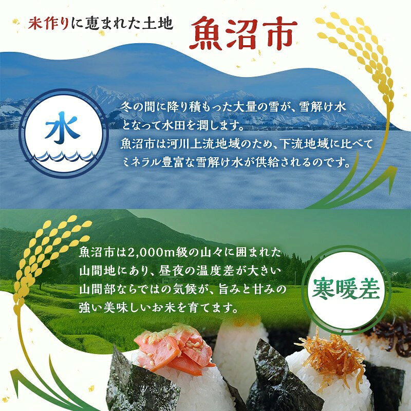 【ふるさと納税】無洗米 定期便 12ヶ月 雪国逸品 コシヒカリ 2kg 米 白米 お米 魚沼産コシヒカリ 新潟米 新潟 魚沼市 定期 12回　お届け：寄附入金確認後の翌月より発送 f152251-uonumashi-10000789 新潟県魚沼市 ふるさと納税 サンプル画像3