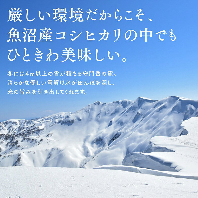 【ふるさと納税】【令和8年産 新米先行受付】魚沼産コシヒカリ雪の恵（精米）5kg　お届け：10月上旬から順次発送