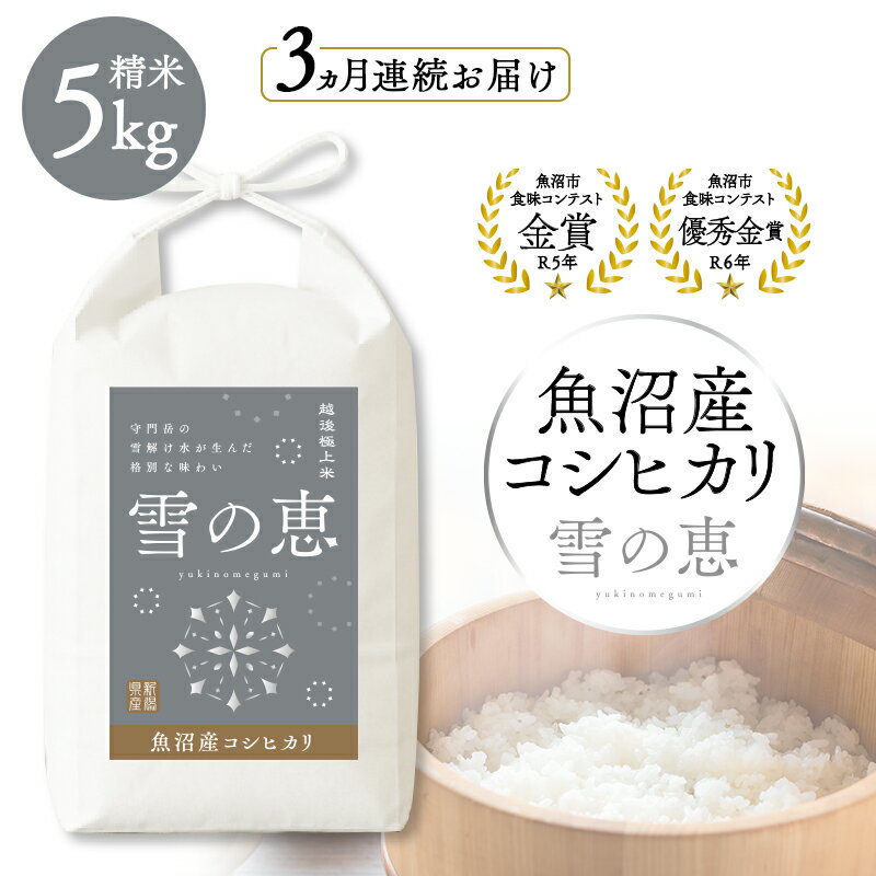 【ふるさと納税】魚沼