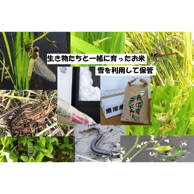 【ふるさと納税】【魚