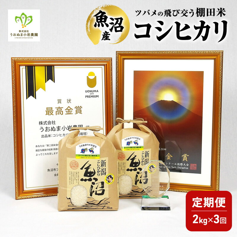 精米 ツバメの飛び交う棚田米 2kg×1袋 3ヵ月連続お届け 米 こめ お米 コメ こしひかり コシヒカリ 精米 新潟県 魚沼市 魚沼 お届け:寄附入金月の翌月より発送