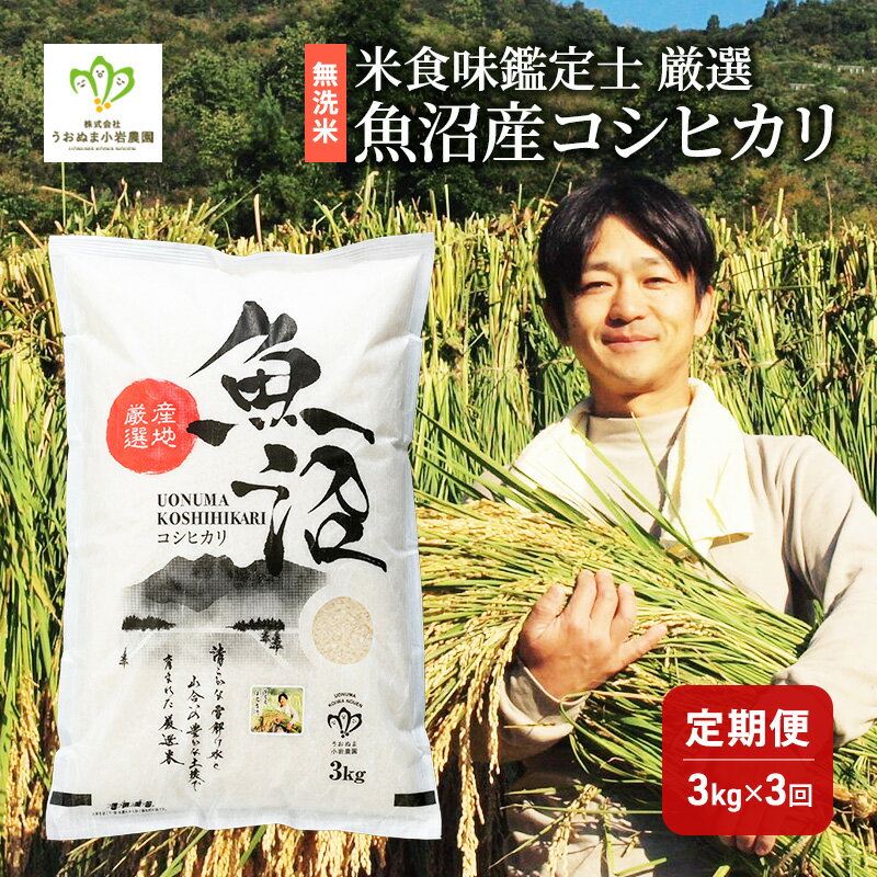 無洗米「米食味鑑定士 厳選」魚沼産コシヒカリ 3kg 3ヵ月連続お届け 米 こめ お米 コメ こしひかり 新潟県 魚沼市 魚沼 ライス ご飯 主食 新潟県産 産地直送 時短 お届け:寄附入金月の翌月より発送