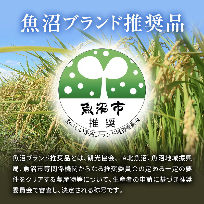 【ふるさと納税】令和7年産 真砂屋厳選 魚沼産コシヒカリ（精米）10kg お米 コメ こしひかり 新潟県 魚沼市 魚沼　お届け：寄附入金確認後、約2週間～1ヶ月ほどでお届け