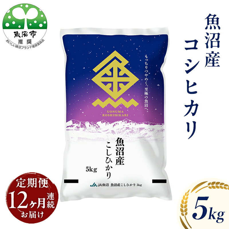 【ふるさと納税】魚沼産 コシヒカリ （精米） 5kg 12回 定期便