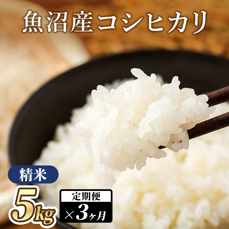 魚沼産コシヒカリ（精米）5kg×3か月 米 こしひかり 定期便 定期 魚沼市