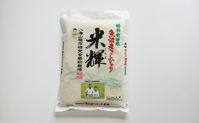サンプル画像3