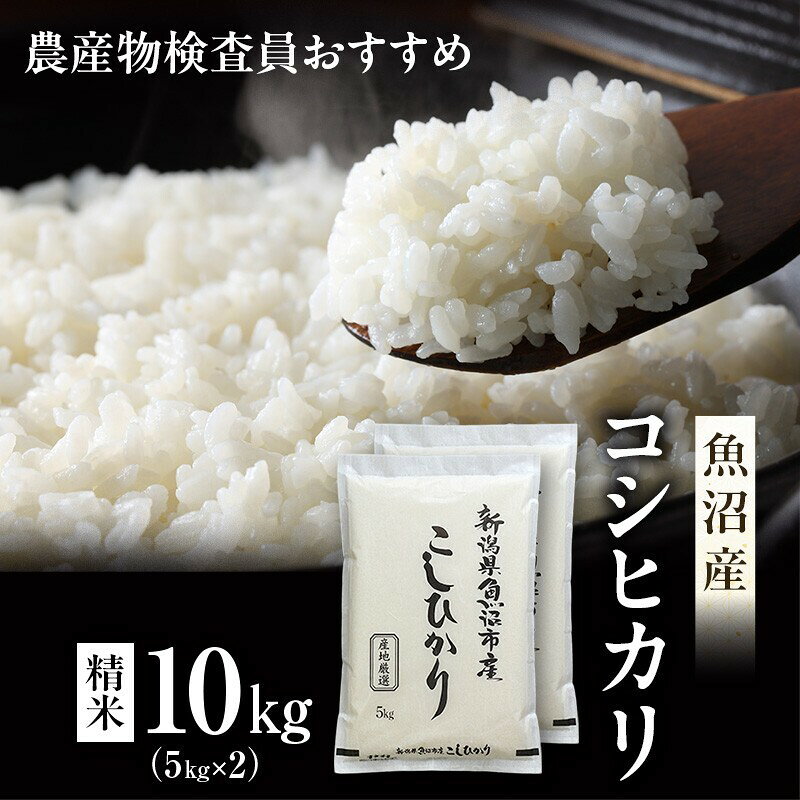 【ふるさと納税】先行予約 令和8年産【新潟県認証・特別栽培米】魚沼産こしひかり(精米)10kg(5kg×2) お米 コシヒカリ 　お届け：10月15日から順次発送
