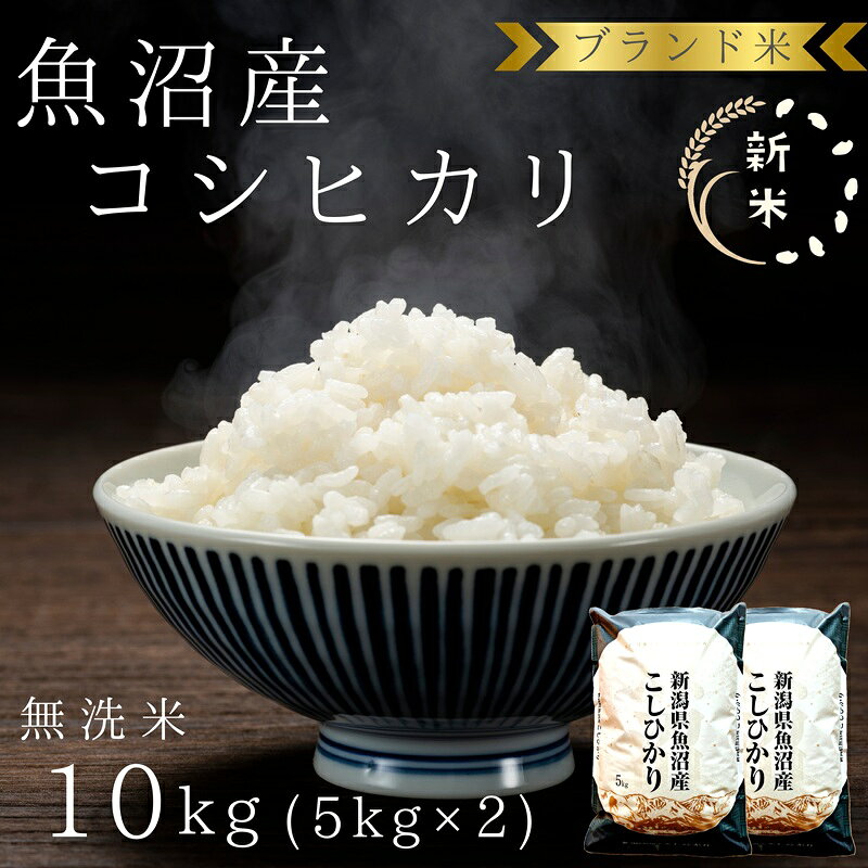 先行予約 令和8年産 ブランド米 魚沼産コシヒカリ 無洗米 10kg(5kg×2袋) お米 お届け:10月1日から順次発送