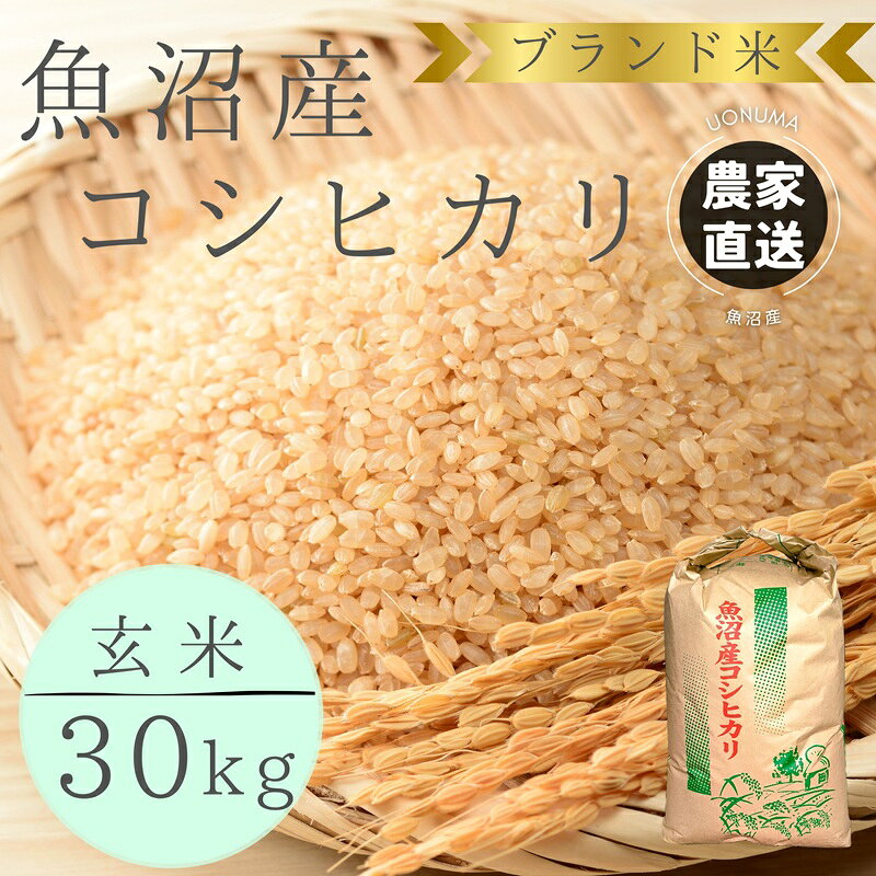 楽天市場】魚沼産コシヒカリ玄米30kgの通販