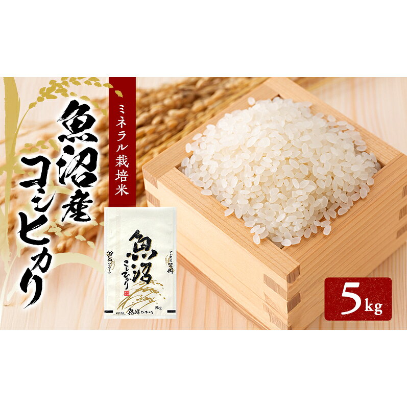 先行予約 令和8年産 魚沼産コシヒカリ ミネラル栽培米(精米)5kg お届け:10月上旬より順次発送