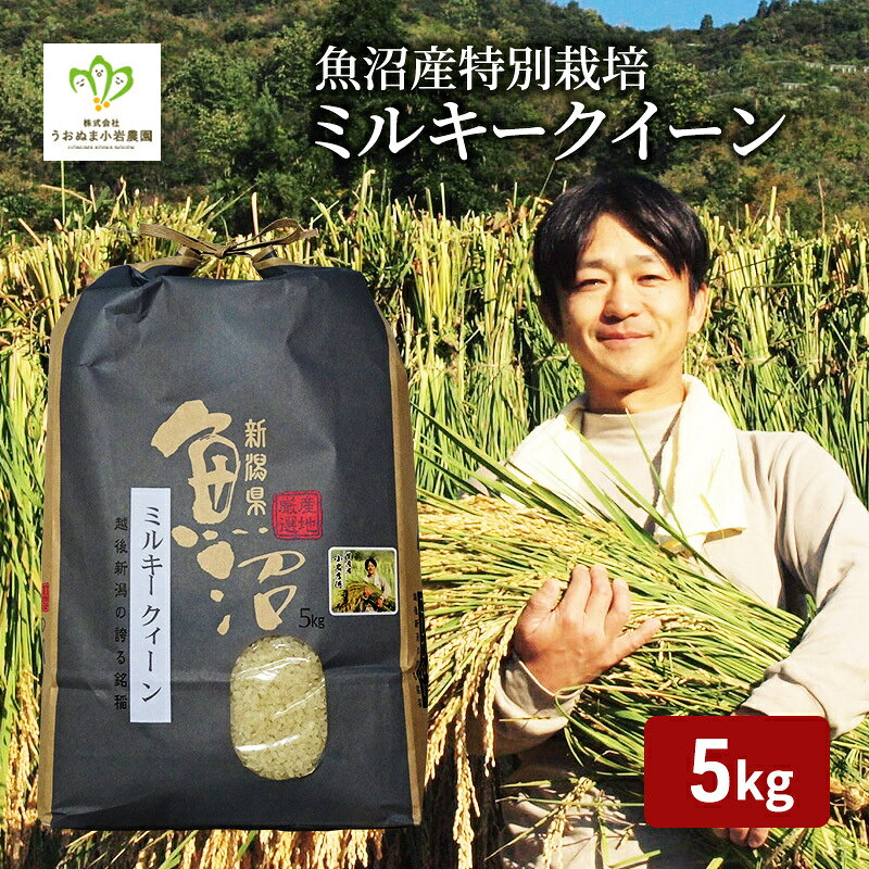 令和8年産 先行予約 魚沼産ミルキークィーン 精米5kg 米 こめ お米 コメ ミルキー クイーン 新潟県 魚沼市 魚沼 ミルキークイーン お届け:10月上旬より順次発送